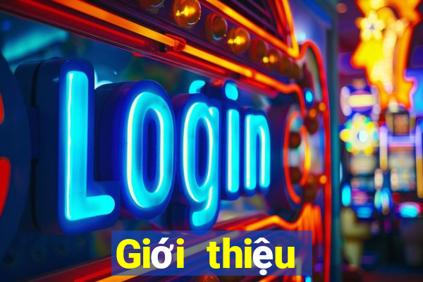 Giới thiệu phần mềm xổ số 916