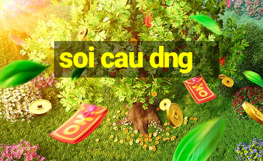 soi cau dng