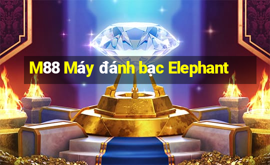 M88 Máy đánh bạc Elephant