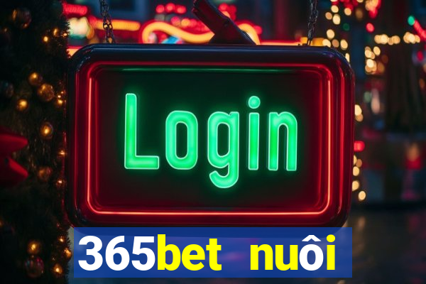 365bet nuôi dưỡng Châu Á