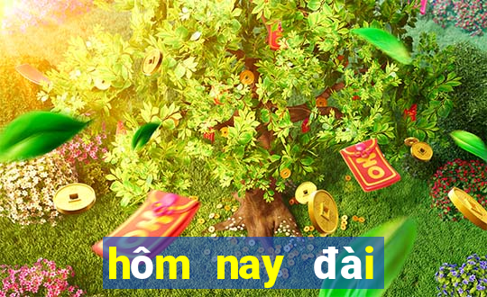 hôm nay đài tây ninh