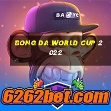 bong da world cup 2022