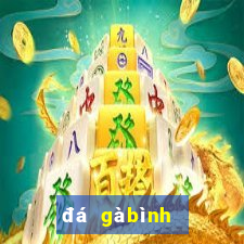 đá gà bình luận viên