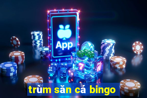 trùm săn cá bingo