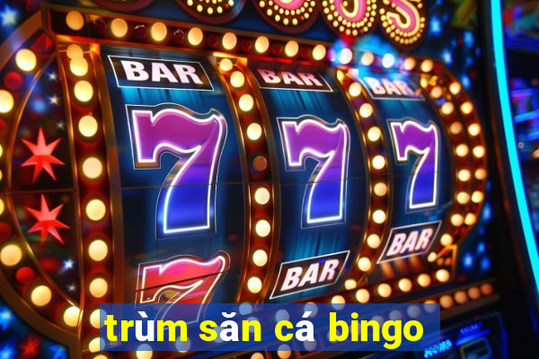 trùm săn cá bingo