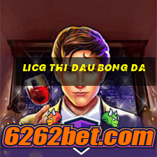 licg thi dau bong da