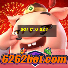 Soi Cầu Bat