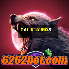 tài xĩu md5