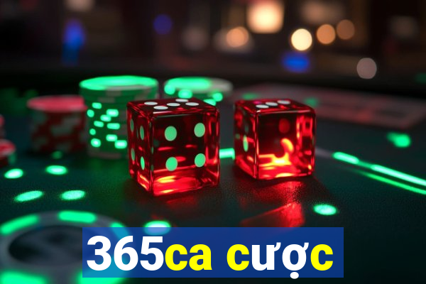 365ca cược