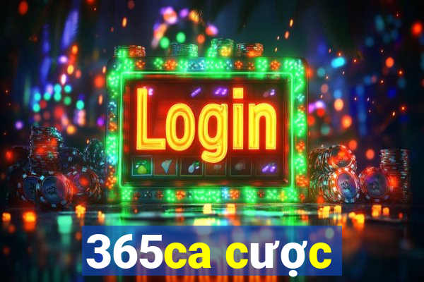 365ca cược