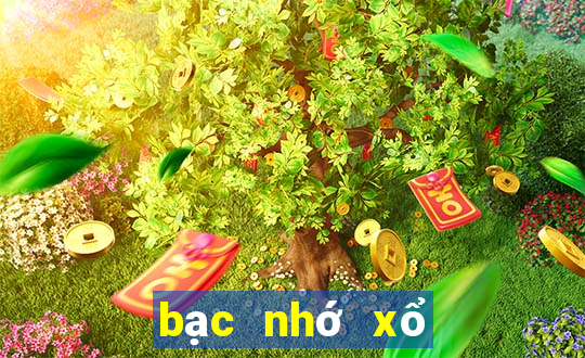 bạc nhớ xổ số miền bắc