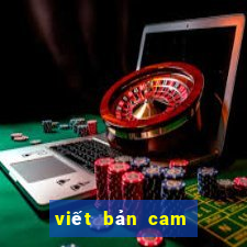 viết bản cam kết đánh nhau