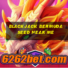 blackjack bermuda seed near me