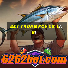 bet trong poker là gì