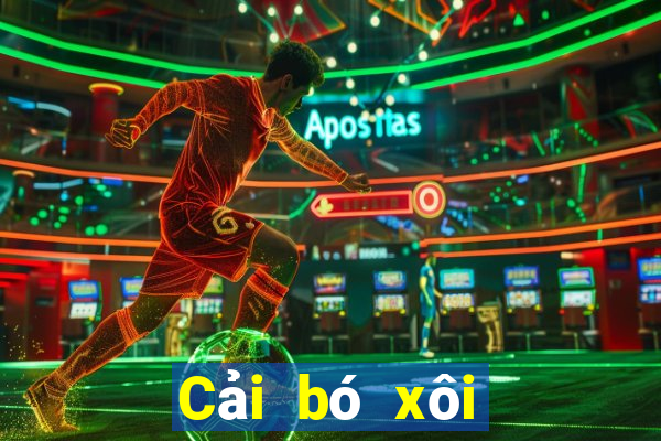 Cải bó xôi Xếp hạng Uy tín Đảm bảo Fun88 Tải về