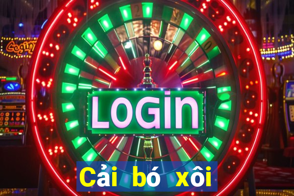 Cải bó xôi Xếp hạng Uy tín Đảm bảo Fun88 Tải về