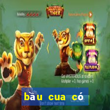 bầu cua có bịp không