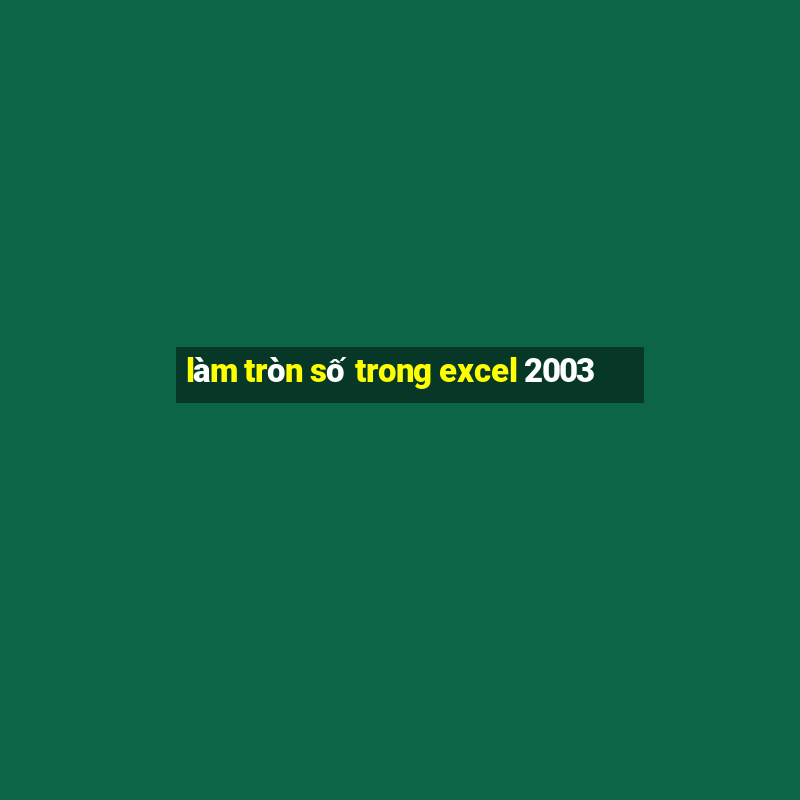 làm tròn số trong excel 2003