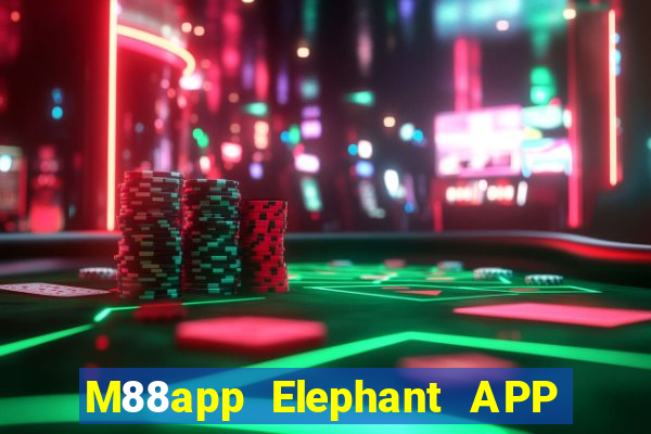 M88app Elephant APP Phiên bản mới Tải về