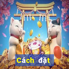 Cách đặt cược XSCM