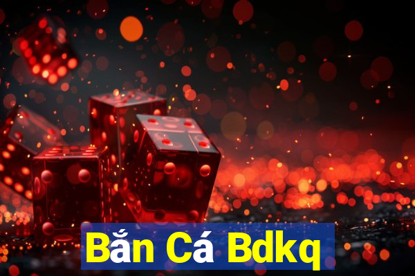 Bắn Cá Bdkq