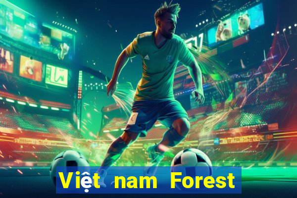 Việt nam Forest Ball Crack