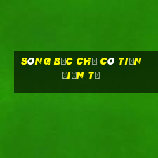 sòng bạc chỉ có tiền điện tử