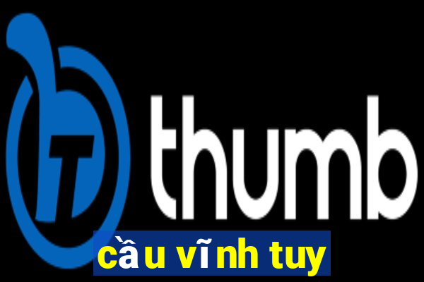 cầu vĩnh tuy