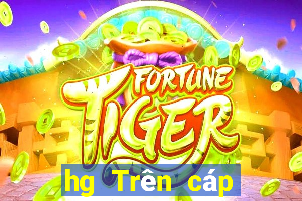 hg Trên cáp mạng Cash