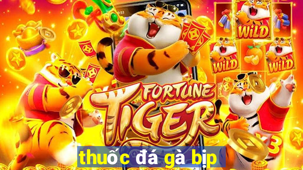 thuốc đá gà bịp