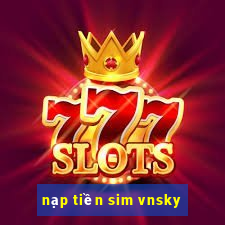 nạp tiền sim vnsky