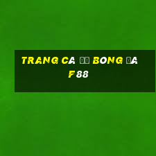 trang cá độ bóng đá f88