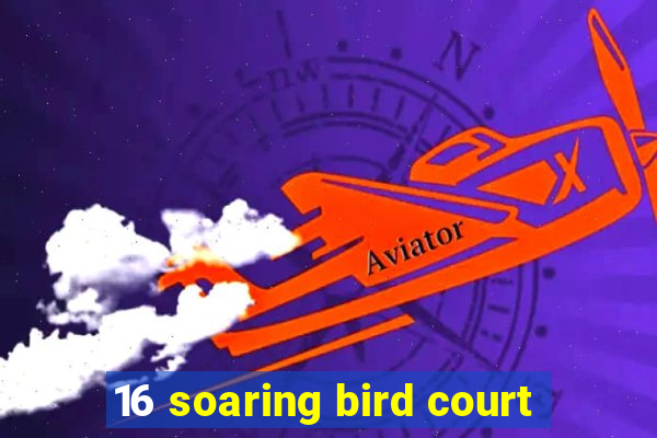 16 soaring bird court