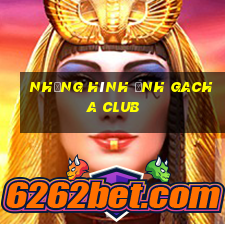 những hình ảnh gacha club