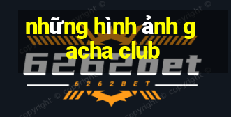 những hình ảnh gacha club