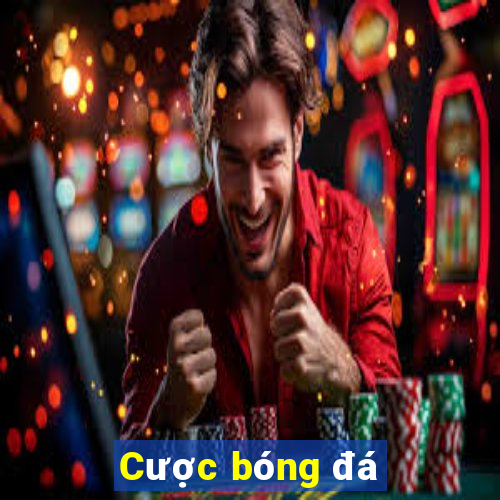 Cược bóng đá