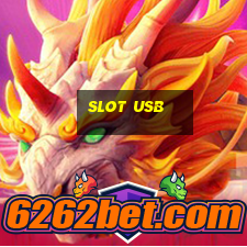 slot usb