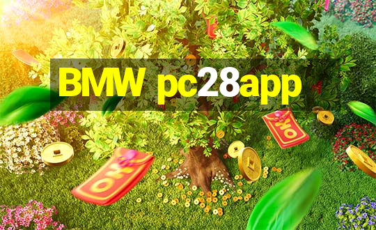 BMW pc28app