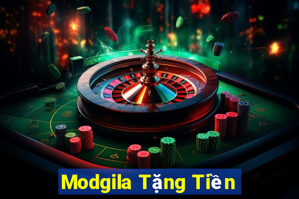 Modgila Tặng Tiền