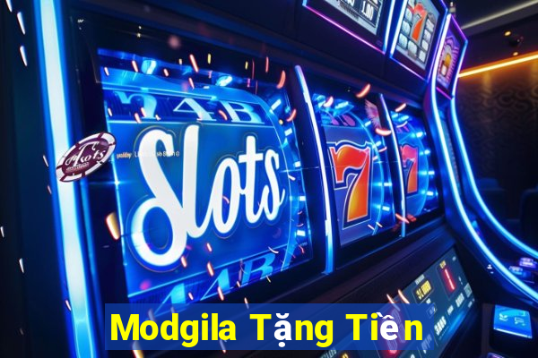 Modgila Tặng Tiền