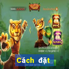 Cách đặt cược XSMN ngày 8