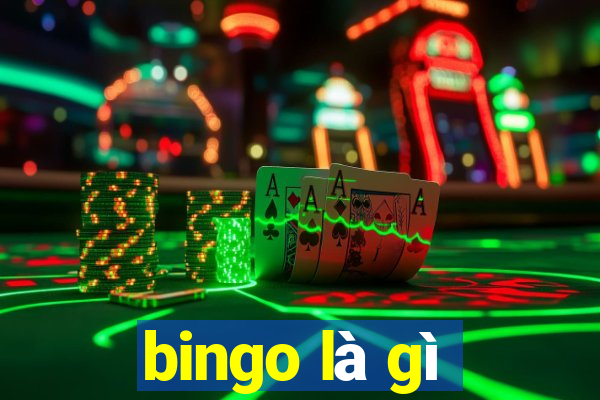 bingo là gì