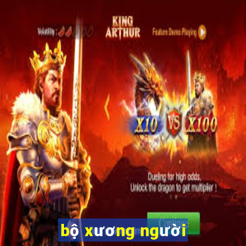 bộ xương người