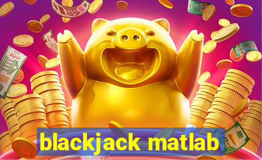 blackjack matlab