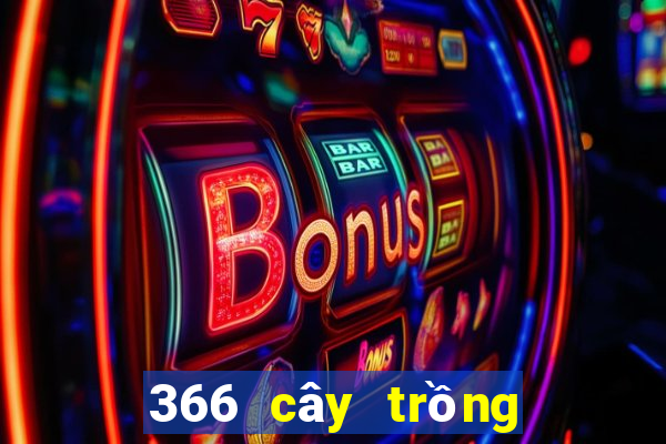 366 cây trồng dưới xổ số