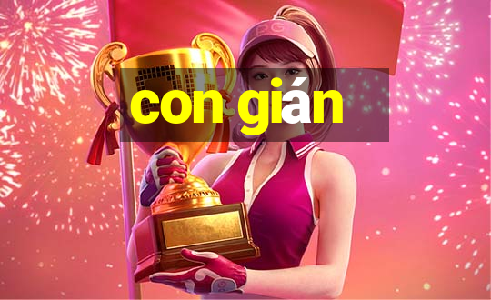 con gián