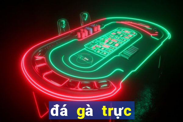 đá gà trực tiếp thomo 30 4