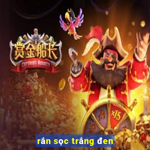 rắn sọc trắng đen