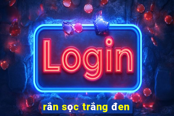 rắn sọc trắng đen