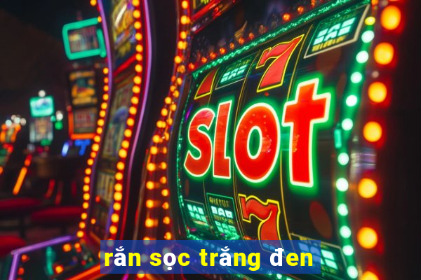 rắn sọc trắng đen